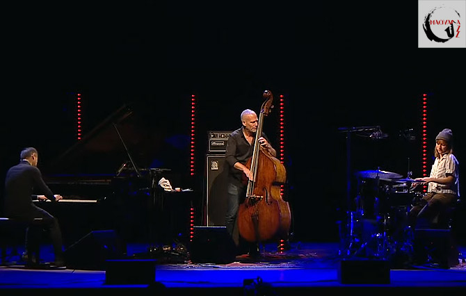 Avishai Cohen