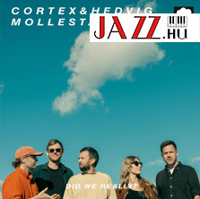 Cortex & Hedvig Mollestad – Did We Really? (Sauajazz)