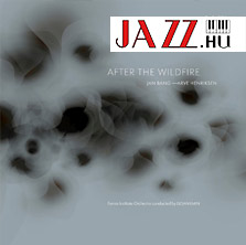Jan Bang/Arve Henriksen – After The Wildfire (Jazzland) 