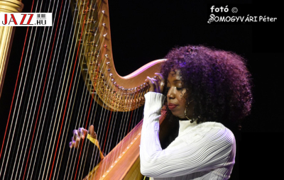 A HÁRFA OTTHONRA LELT