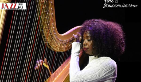 A HÁRFA OTTHONRA LELT