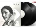Flea – Honora